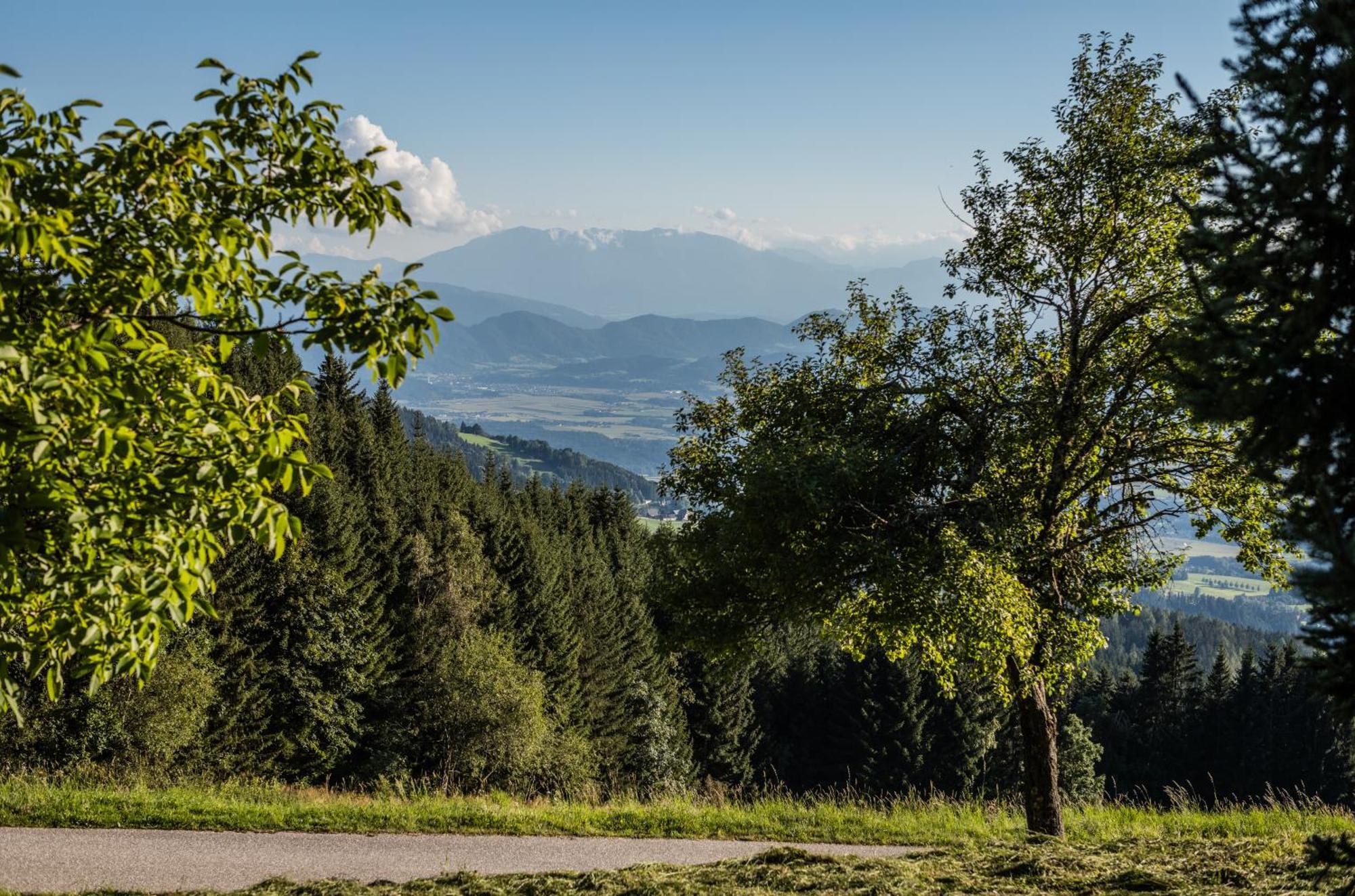 Ferienhaeuser Koralpe Unicorn Village Волфсберг Екстериор снимка